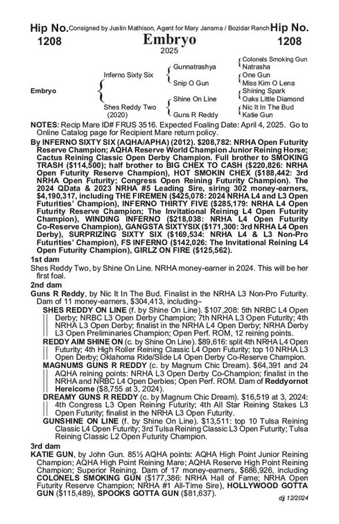 2025 Embryo (Inferno Sixy Six x Shes Reddy Too)