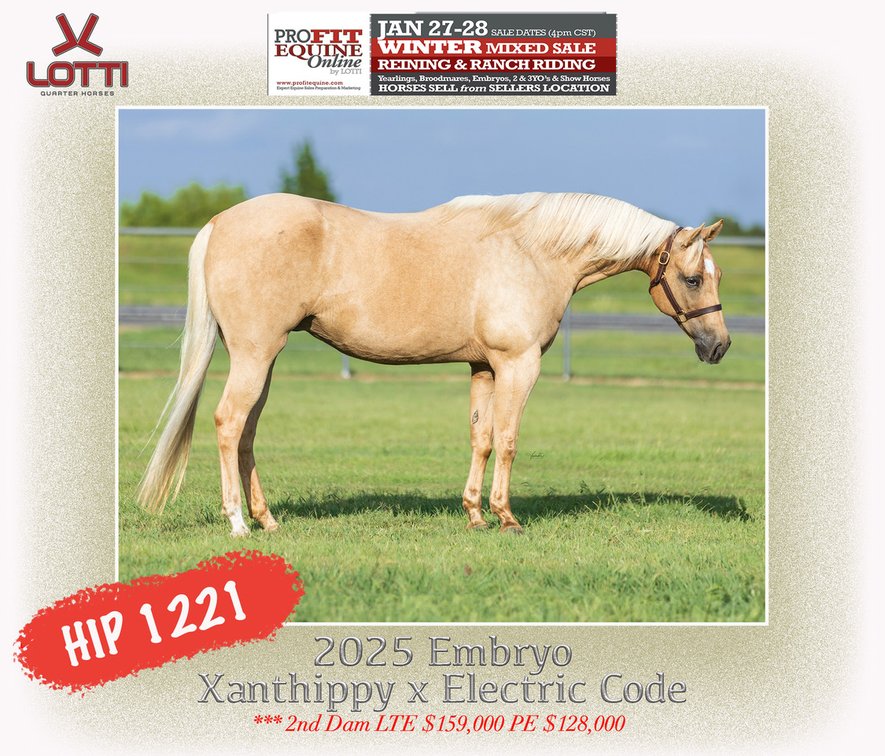 2025 Embryo (Electric Code x Xanthippi)