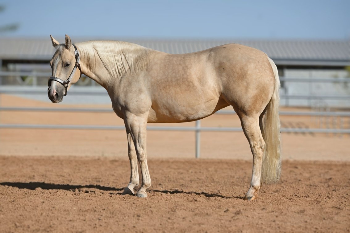 A Blonde Girl