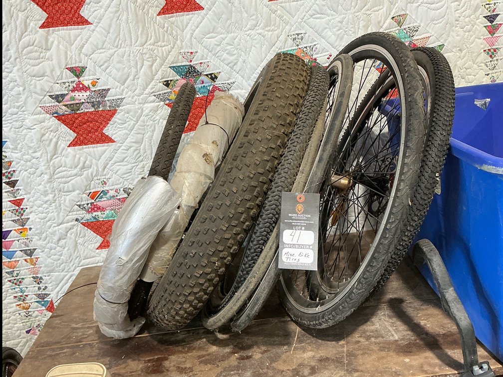 Miscellaneous Bike Tires and Rims