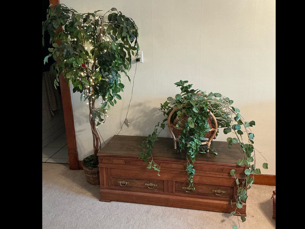 Wood chest with drawers with greenery and artificial tree
