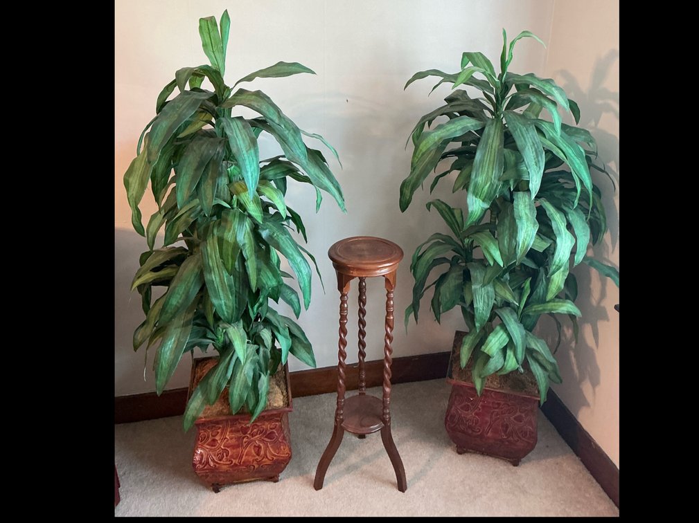 Artificial plants and wood plant stand 
