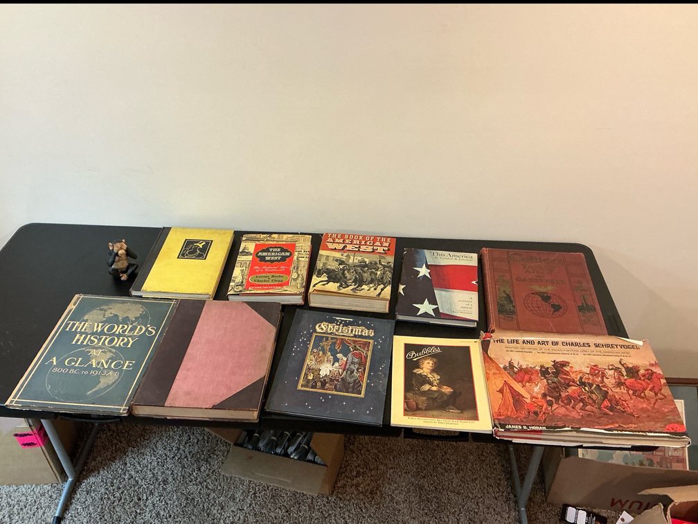 Assorted history books 