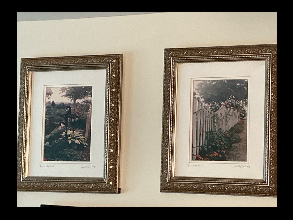 Framed photographs