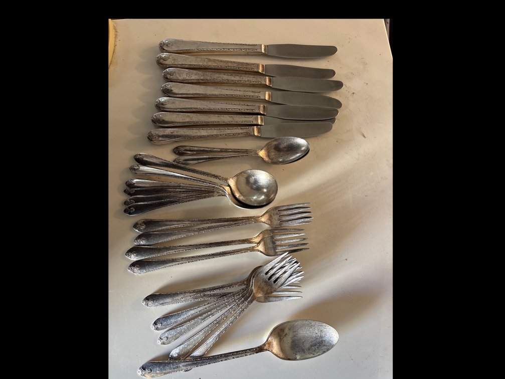 Wm. Rogers & Son Silver-Tone Flatware Set