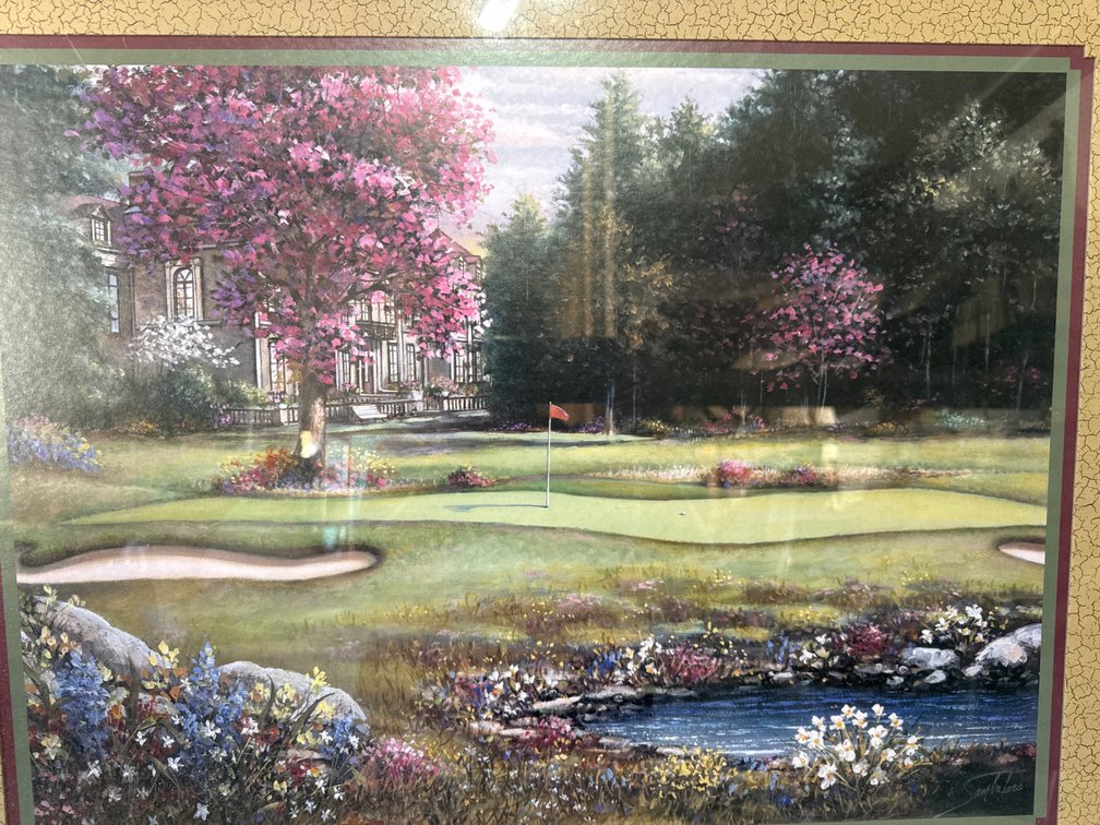 Sam Park Framed Golf Course Landscape Print