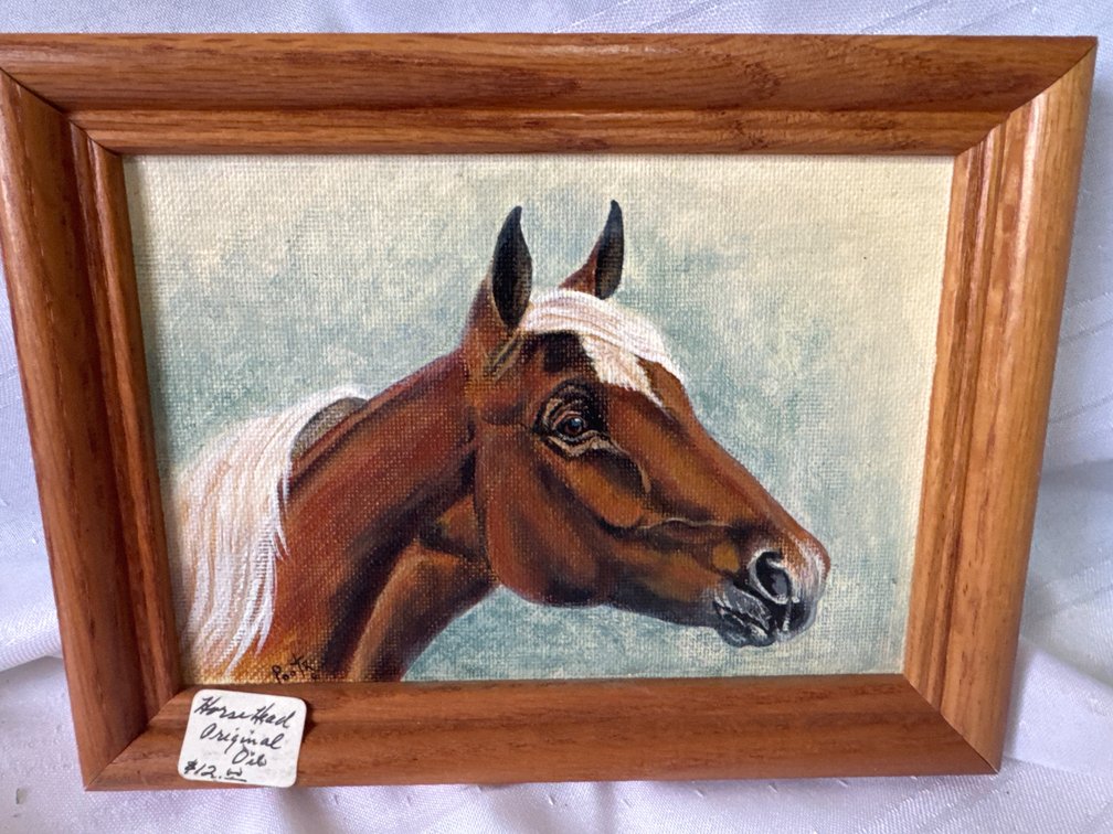 Framed Oil Painting of a Horse Head Signed Pooth, 8 x 6