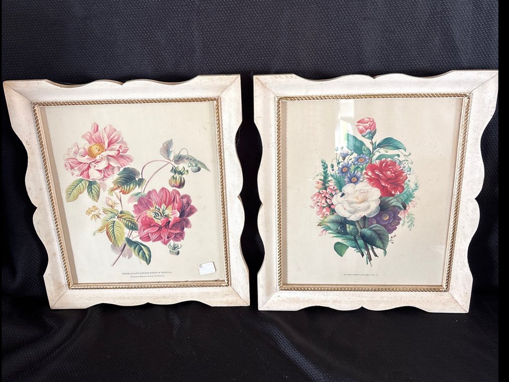 Pair of Framed Floral Botanical Lithographs by V. Bartholomew and Paul Jerrard