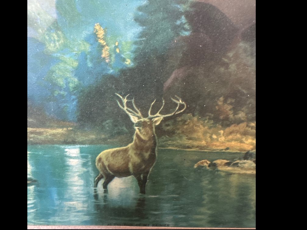 Framed Color Print "At the Foot of Mt Rainier"