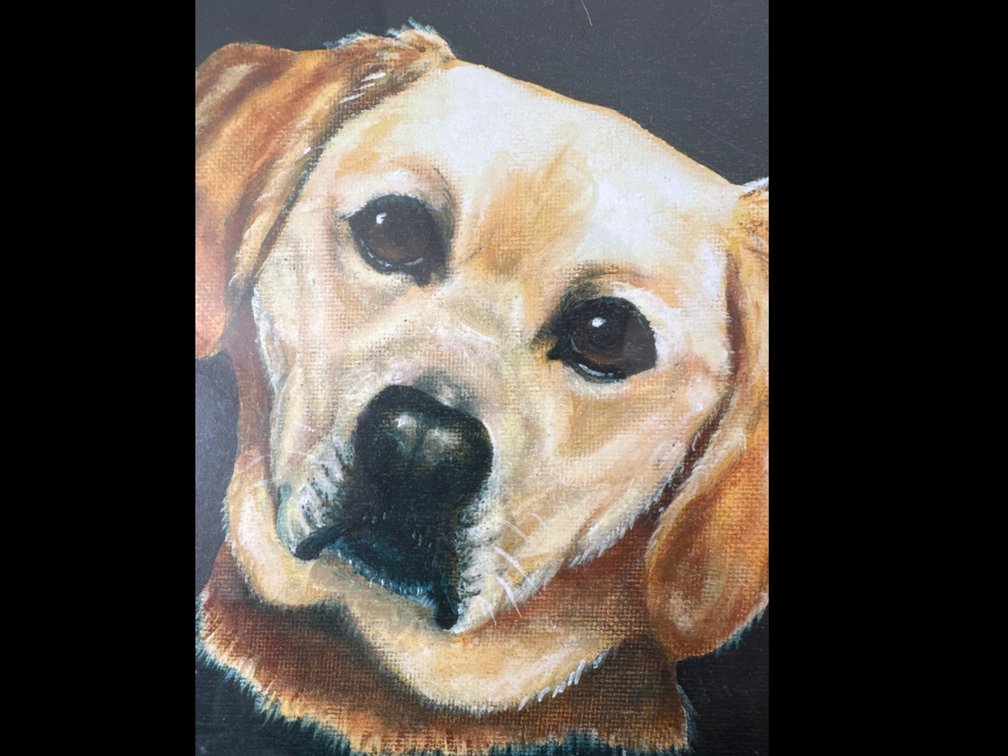 Framed Portrait Painting of a Yellow Dog, Signed PootRG