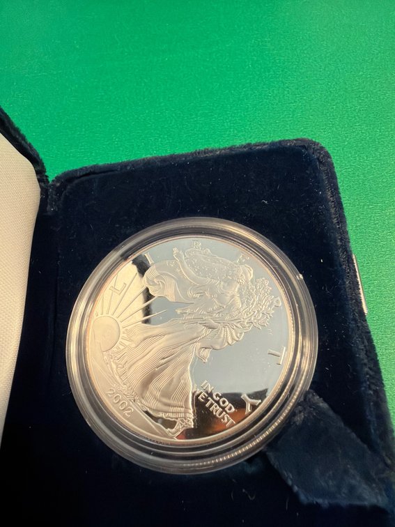 2006 American Eagle Silver One Ounce Proof Coin in Case