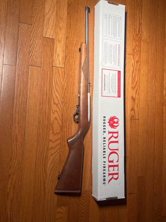 Ruger 10/22, 22LR Rifle with Original Box