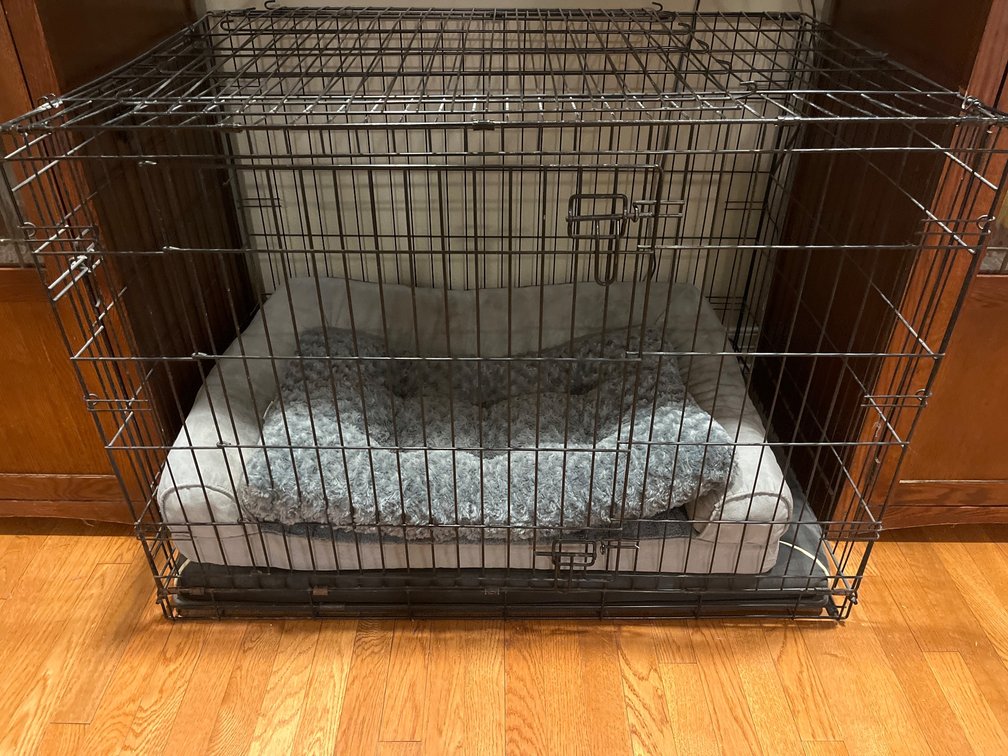 Large Metal Pet Crate With Beds
