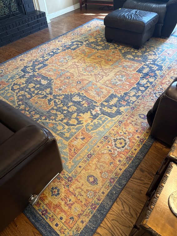 Safavieh Evoke EWZ125C-9 Area Rug, 1600 g Weight, 274 x 366 cm