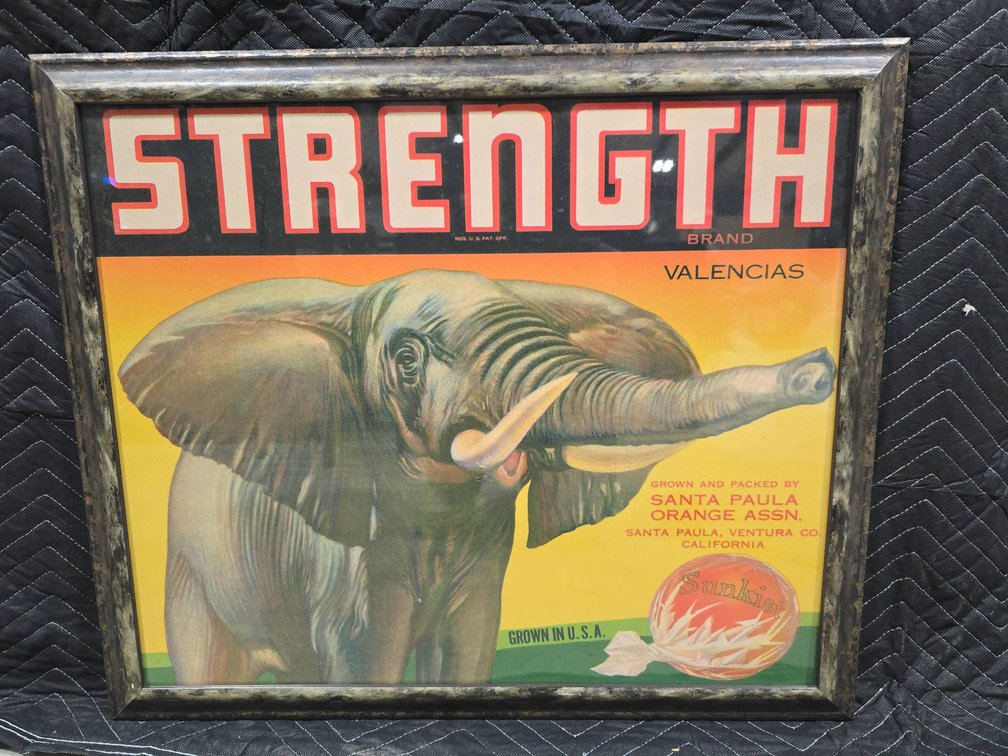 Framed ‘Strength’ Brand Valencias Orange Crate Label