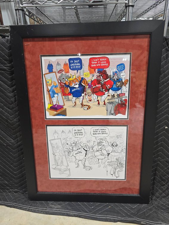 Framed Arkansas v Florida Gameday Cartoon & Sketch