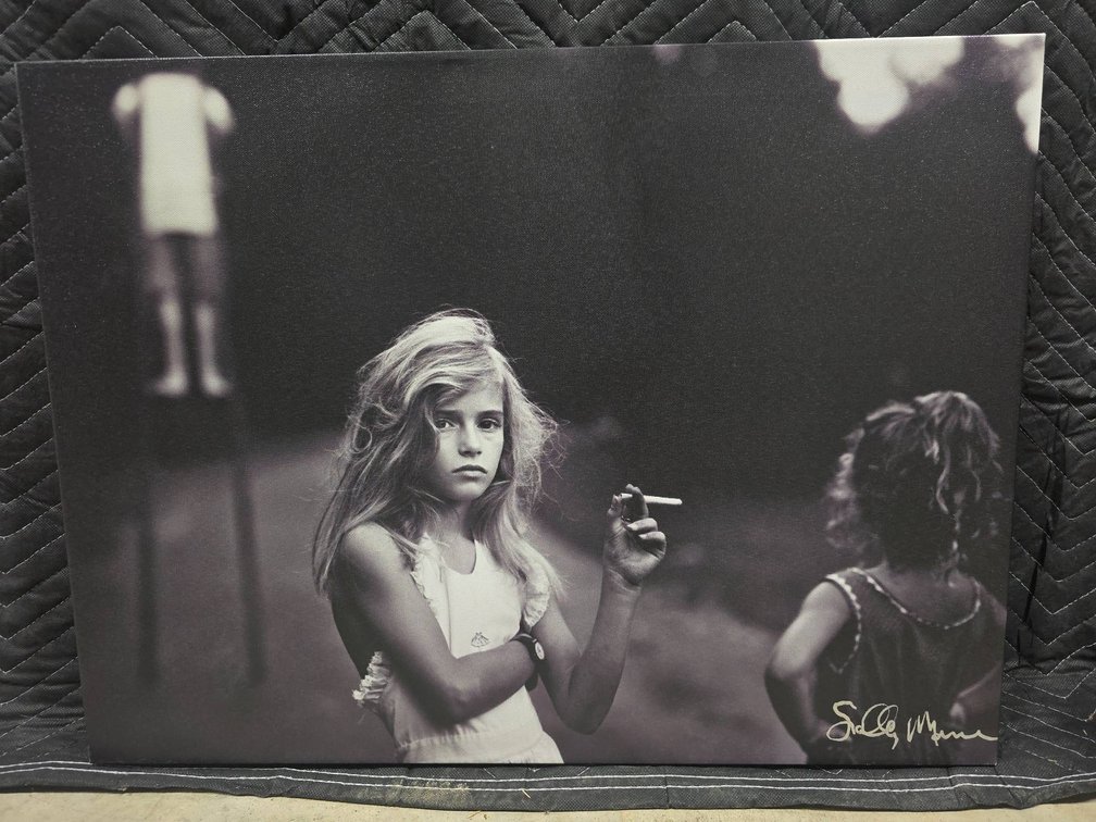 Photographic Print on Canvas, Signed, Approx. 24×18 Inches