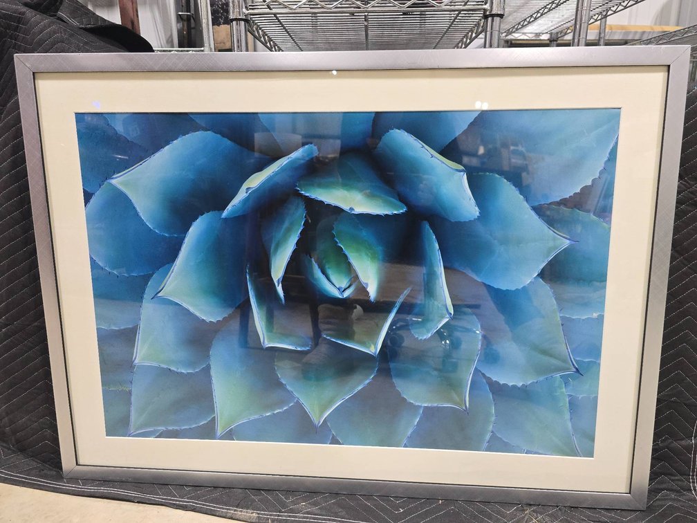 Framed Art Print Featuring Blue Succulent Design