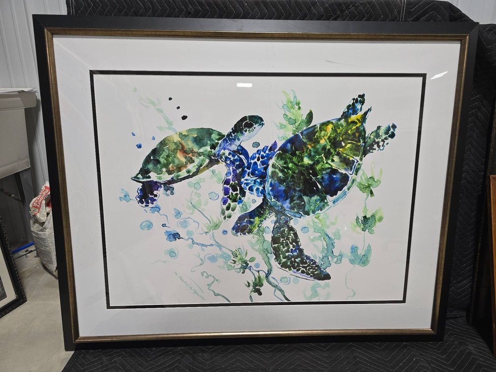 Framed Artwork Depicting Aquatic Turtles from Art.com