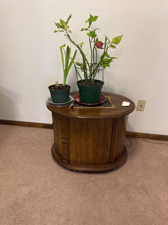 Round Wooden Side Table With Cabinet Storage