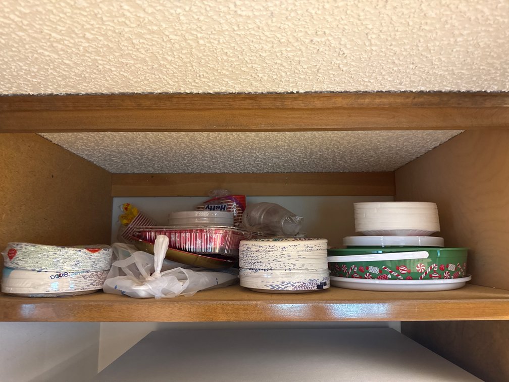Disposable and Decorative Plates and Bowls