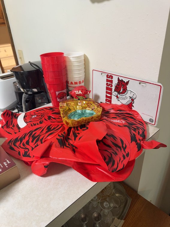 Arkansas Razorbacks Fan Collectibles Lot
