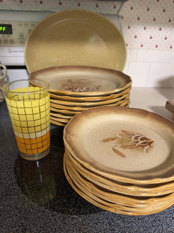 Mikasa Whole Wheat E8001 Dinnerware Set, Made in Japan