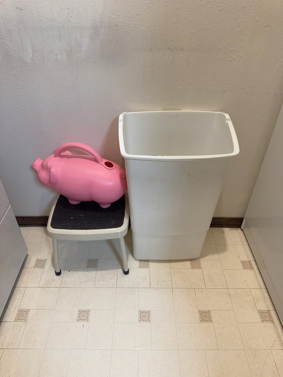 Cosco Step Stool and BABS Pink Pig Watering Can
