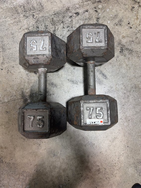 75 lb Hex Dumbbells, Cast Iron Construction