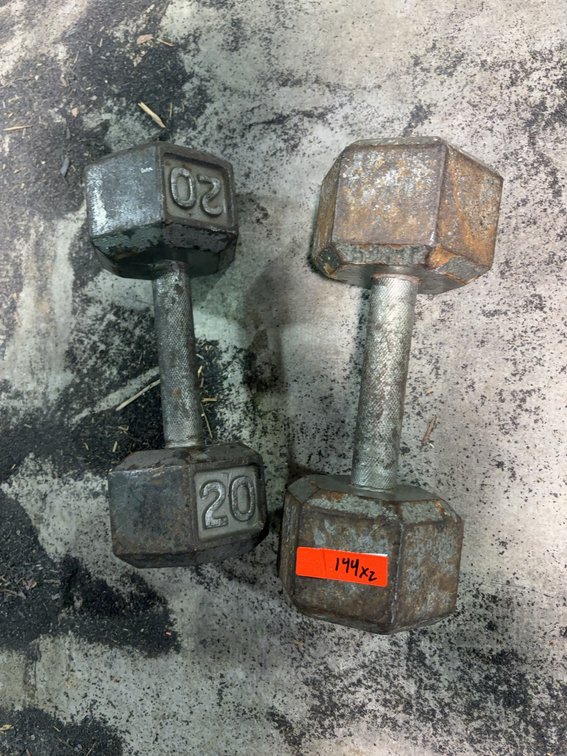 20 Pound Hexagonal Cast Iron Dumbbells