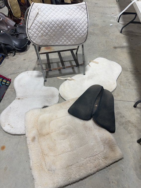 English Saddle Pads and Half Pads, Sheepskin and Synthetic