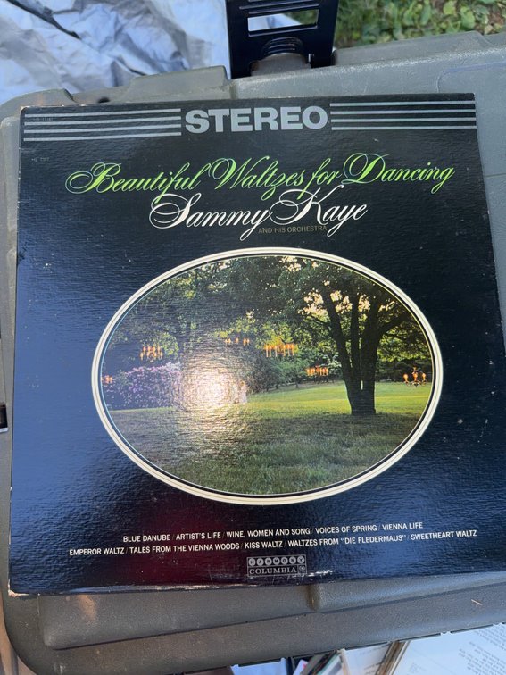 12 Assorted Vinyl Albums, Hawaiian, Country, and Dance Themes