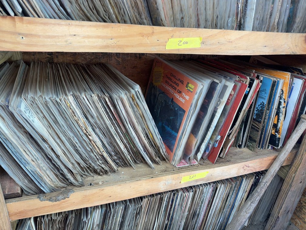 Over 100 Water Damaged Vinyl Albums Including Disney and John Denver