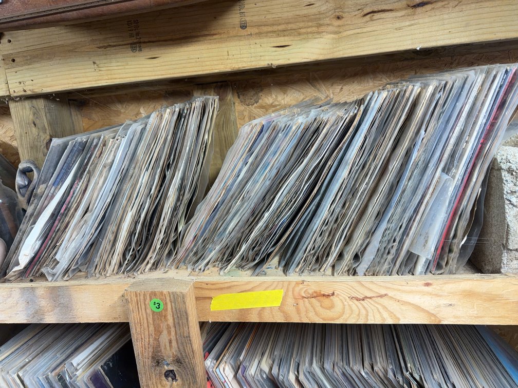 Over 50 Water Damaged Vinyl LP Albums Including James Taylor and Talking Heads