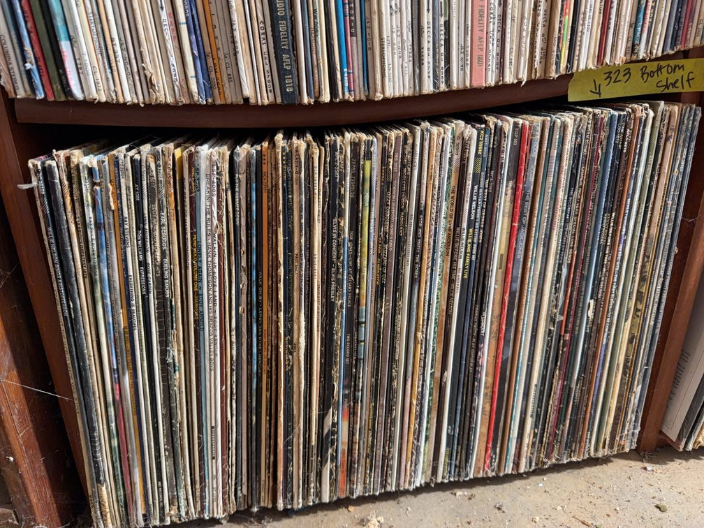 Large Country Vinyl Record Collection With Willie Nelson and Elvis