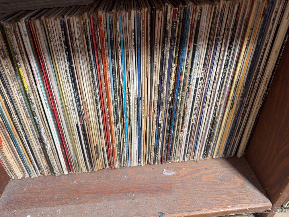 Vinyl LP Records Including Beach Boys And Folk Music