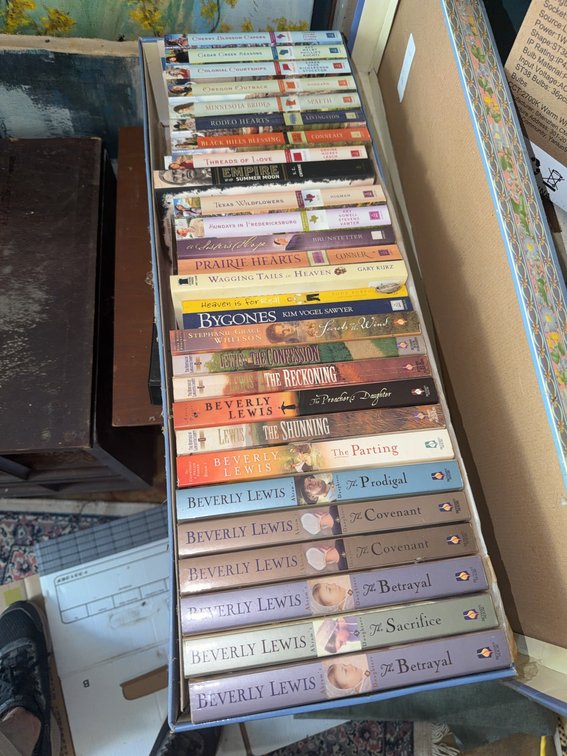 Christian and Amish Fiction Paperbacks by Beverly Lewis and Others