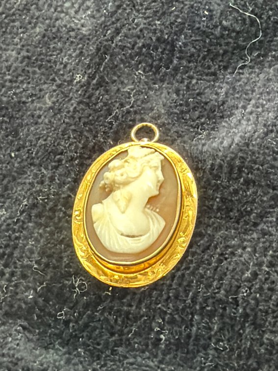 Carved Shell Cameo Brooch Pendant in Gold-Tone Bezel