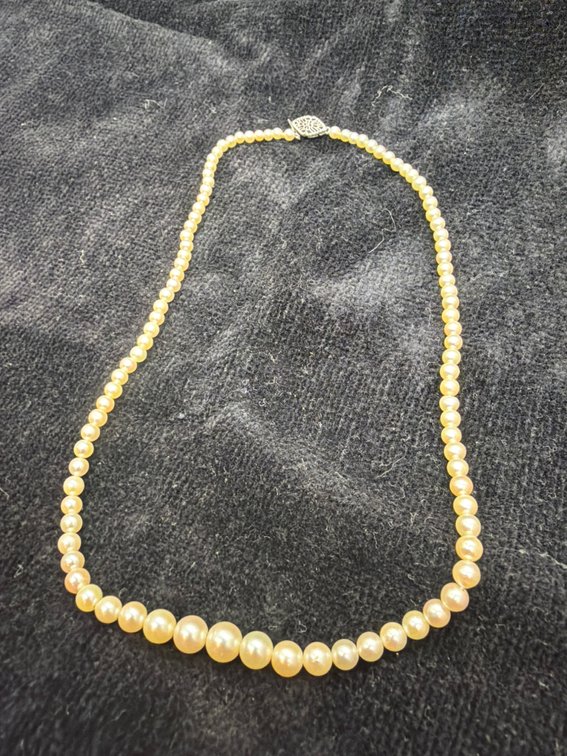 17 inch white bee necklace