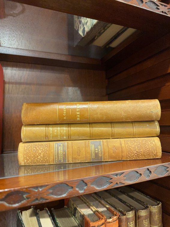 3 Scandinavian Language Leather-Bound Books, Gilt Titles, 8.5 In. Tall