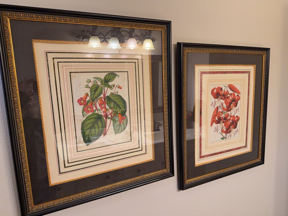 Framed Botanical Prints, Lilium Tigrinum & Tyda Ortgiesiana, 25 1/2 x 29 Inches Each