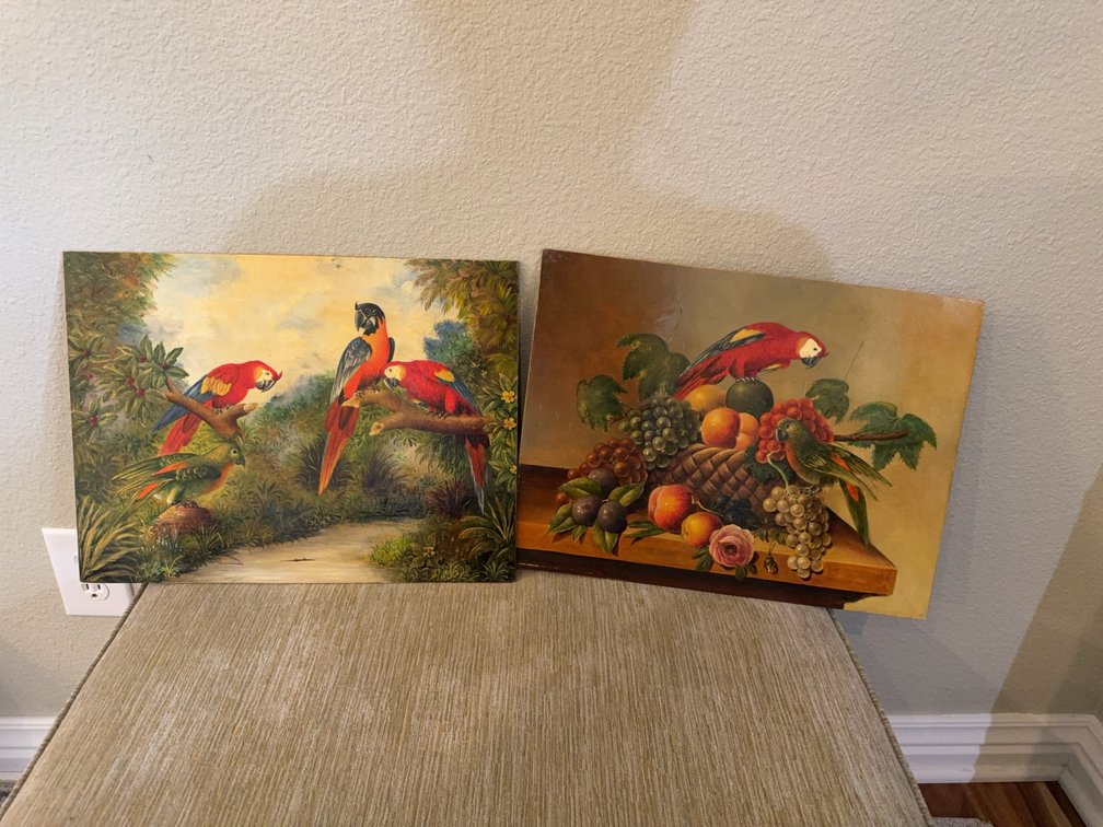 Framed Parrot Paintings on Board, One with Fruit Still Life