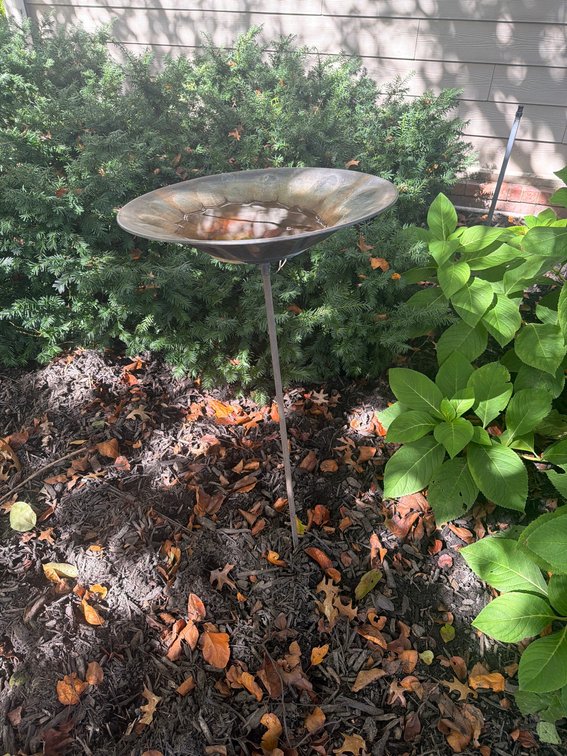 Metal Garden Bird Bath on Stake, Flower-Shaped Bowl, Outdoor Yard Ornament
