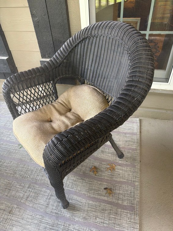 All-Weather Black Wicker Armchair With Beige Tufted Cushion