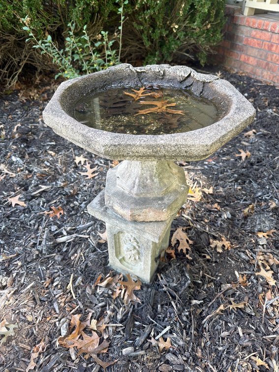 Concrete Outdoor Birdbath with Decorative Pedestal and Floral Relief Design