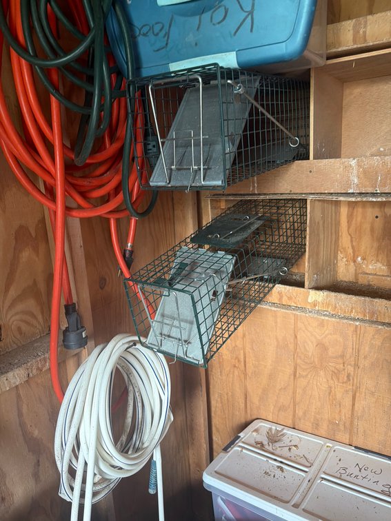 Three Live Trip Metal Wire Animal Traps for Small Rodents or Pests