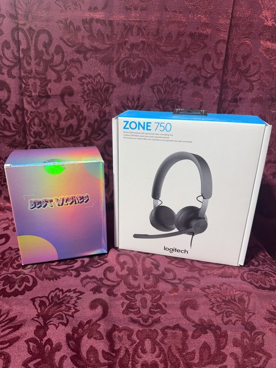 Logitech Zone 750 USB Headset & Cat Ear Wired Headphones Bundle