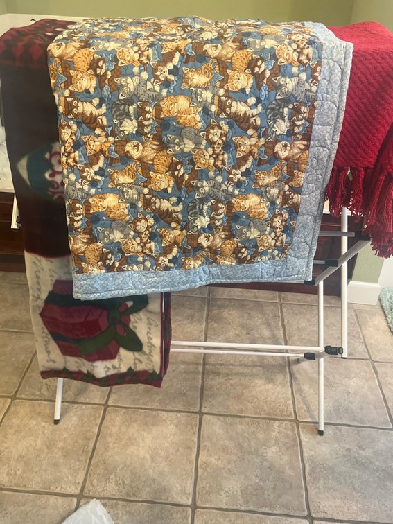 Small Quilts and Throws