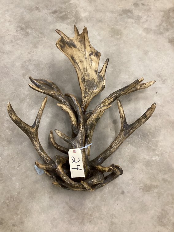 Faux antler wall display.