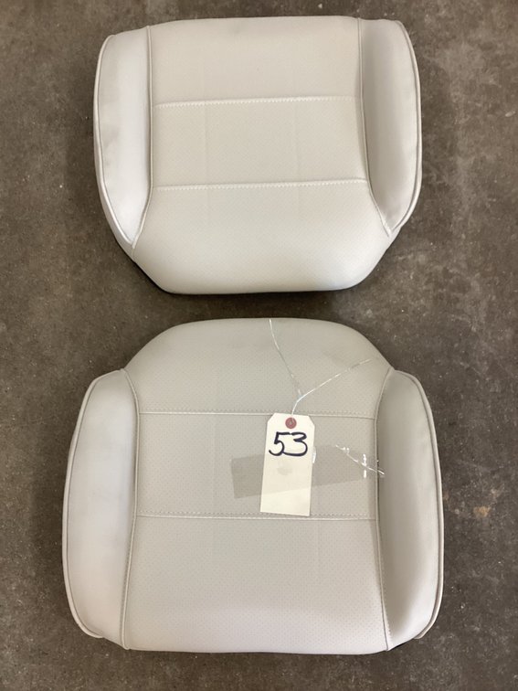 (2) seat cushions 